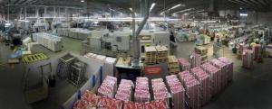 Colorpak Supersite to complete CHH rationalisation